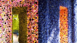 Dior Haute Couture Show copy