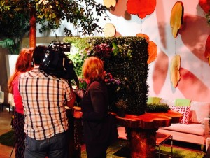 Greenscape Design Breakfast Television Vancouver City TV Vertical Gardens Close Up