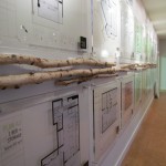 Greenscape Design Natural Birch Poles