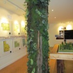 Greenscape Design Squamish West Coast Commercial Interior Design