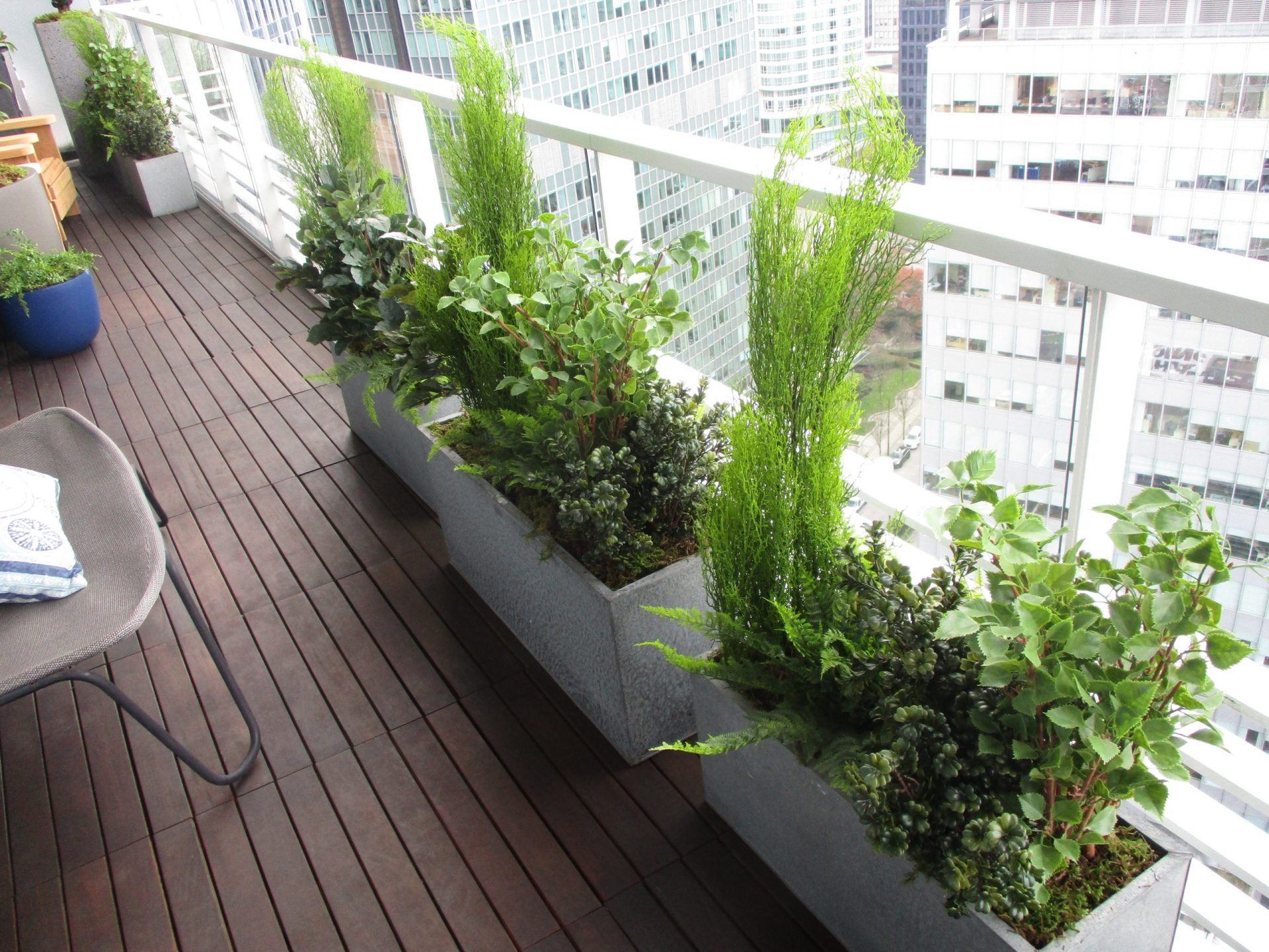 Rectangular metal planters filled with mixed west coast greenery for residential patio design