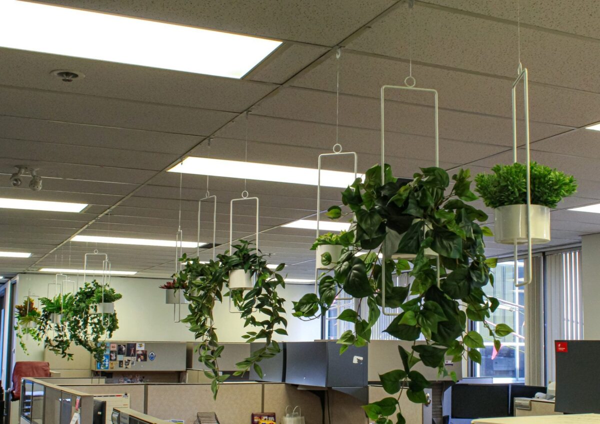 White metal hanging planters, two sizes with various artificial greenery hanging over cubicles