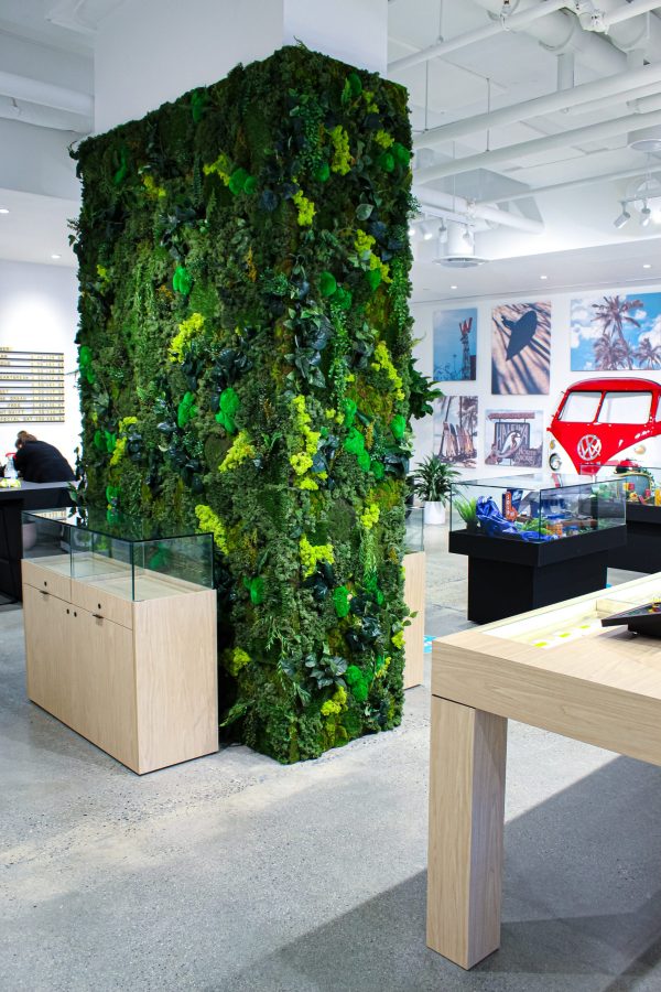 Green & Moss Walls Greenscape Design & Decor