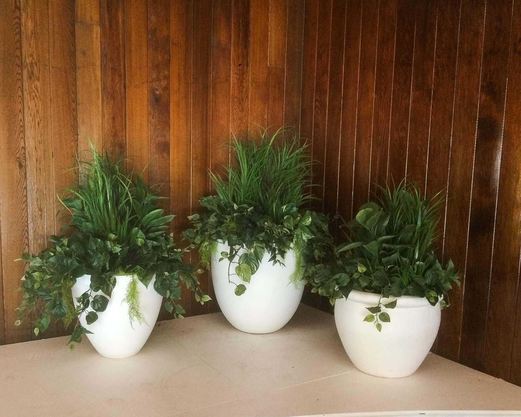 Mixed Potted Greenery // Commercial Lobby Greenscape Design & Decor