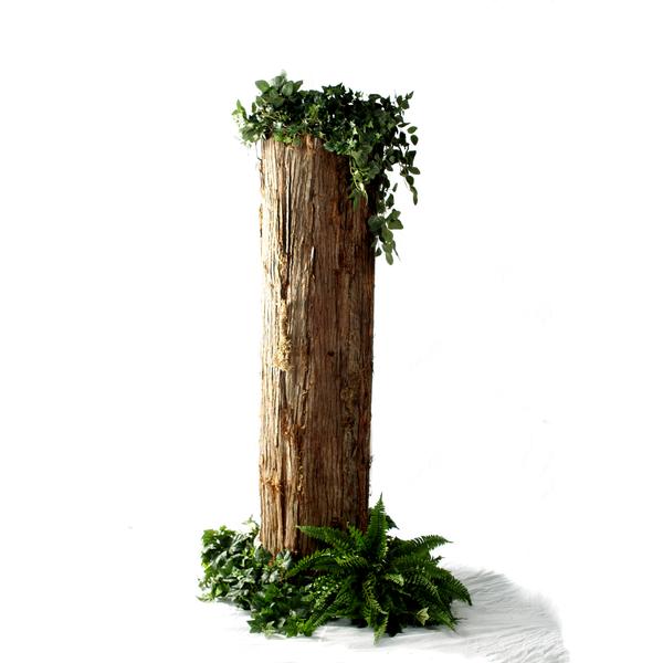 Logs