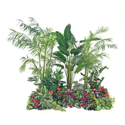 Tropical Vignette - Greenscape Design & Decor