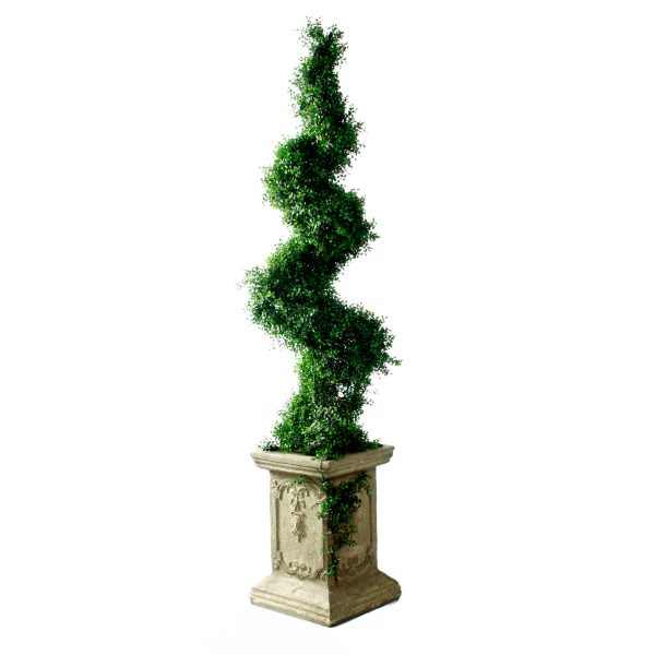 Boxwood Spiral Topiary on Pedestal