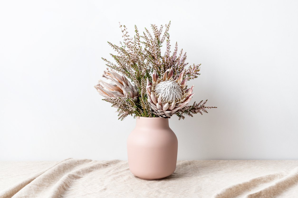 Preserved Plants How Long do They Last? Greenscape Decor