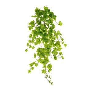 Ivy Head - Light Green