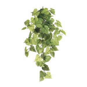 Potato Leaf Head