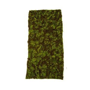 Moss Mat