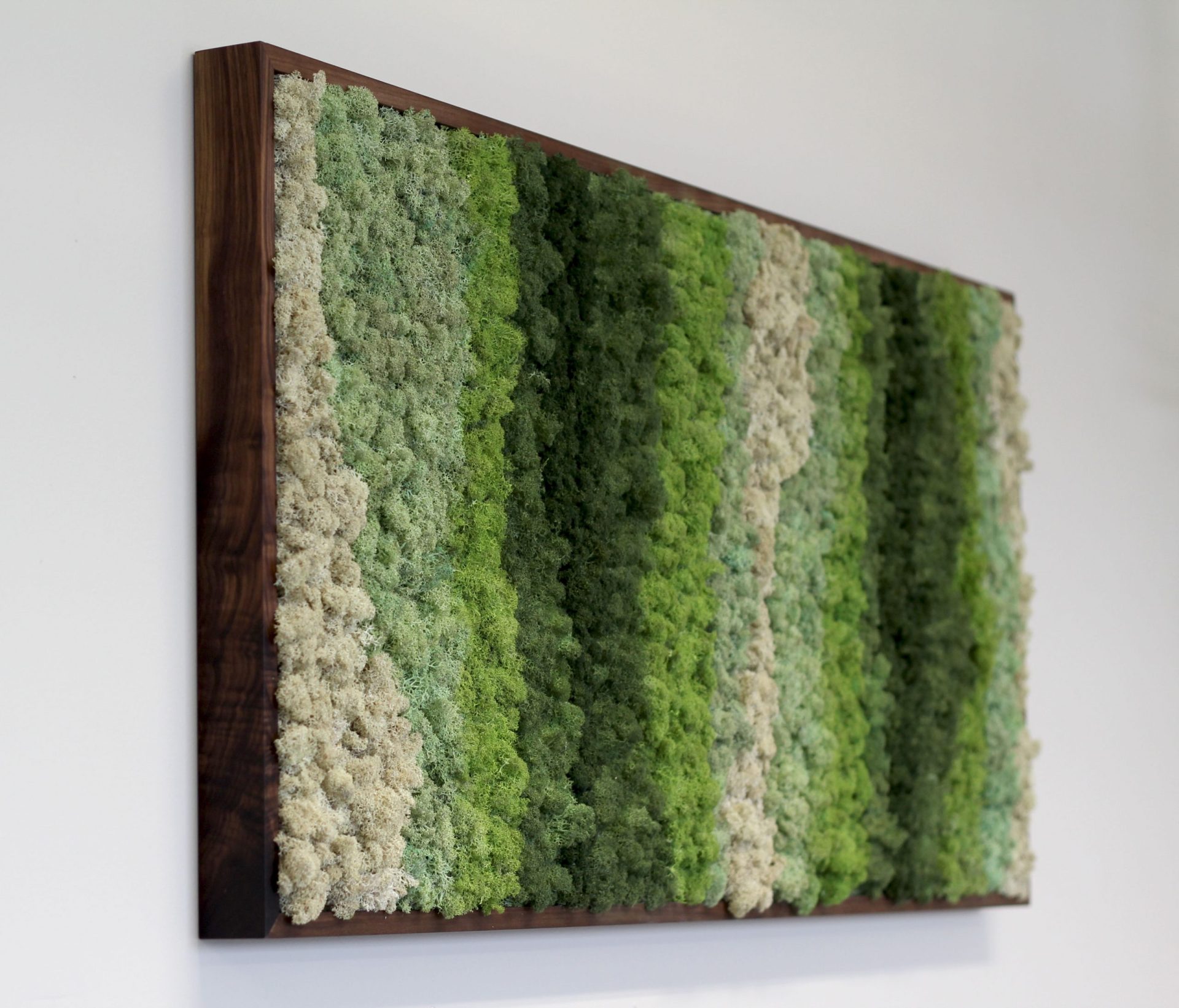 Preserved reindeer moss wall art in a wooden frame. Features a textured, natural design with shades of green and ivory, adding biophilic beauty to interior spaces.