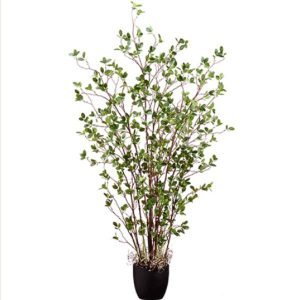 Mini Leaf Plant