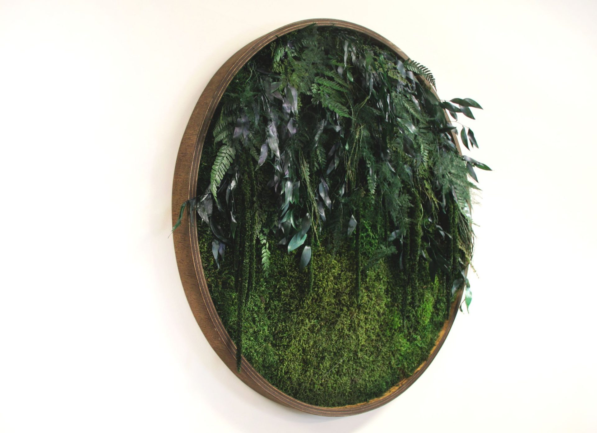 Circular preserved moss wall art with cascading greenery in a wooden frame. A biophilic decor piece adding natural texture and depth to modern interiors.