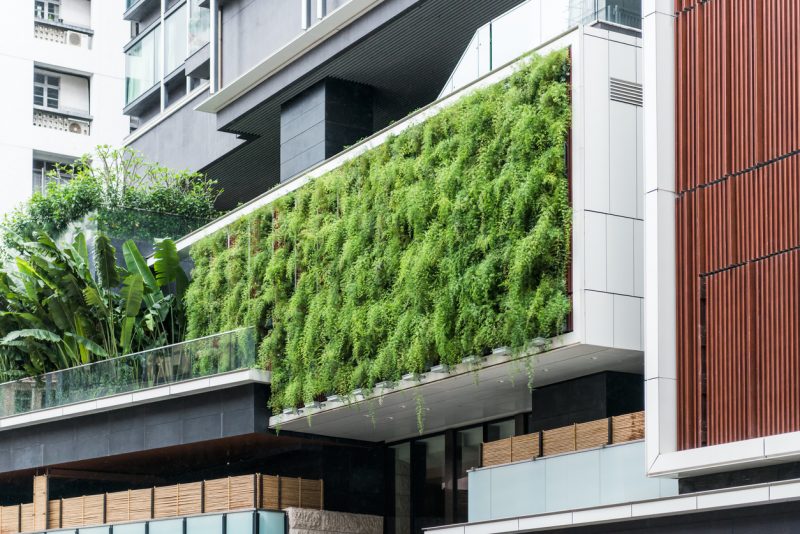 Green wall on a building's exterior