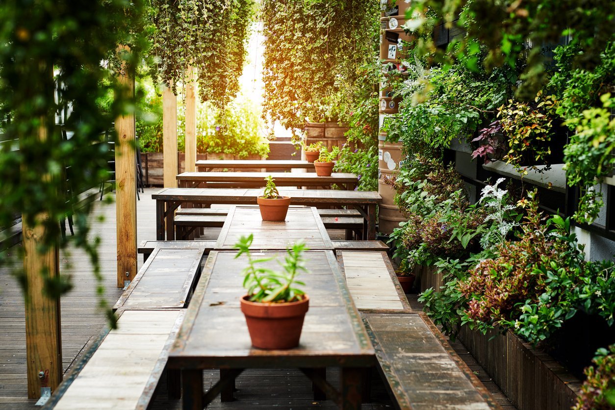  Greenscape Design & Decor