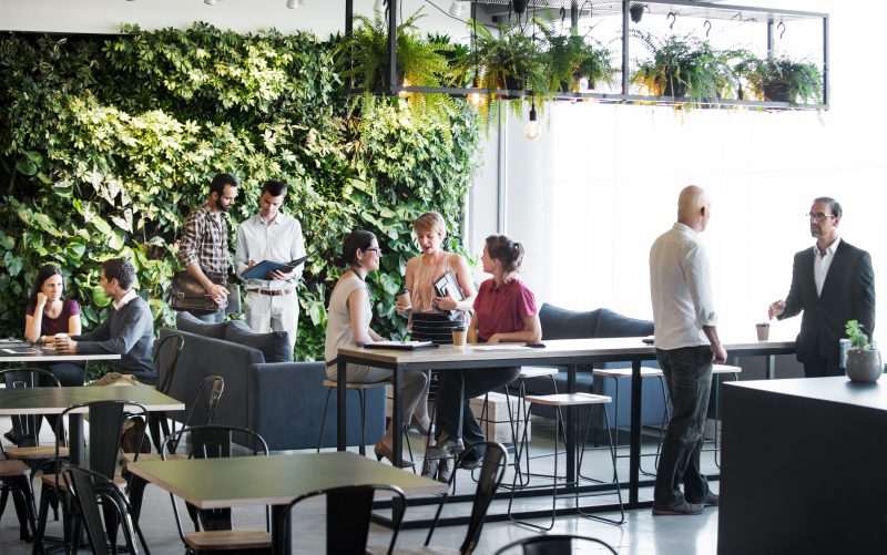 biophilic design applied to an office environment