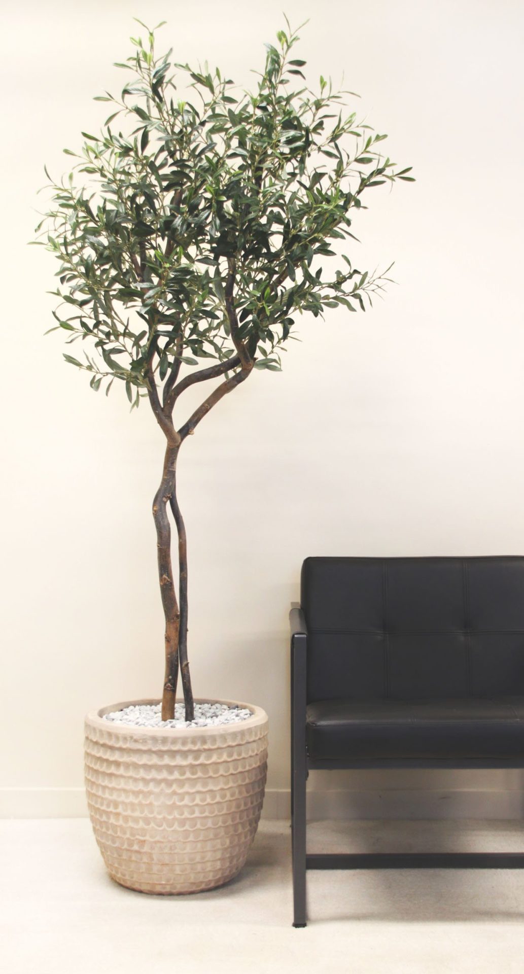 Fake olive tree in a textured beige planter, styled next to a modern black chair against a neutral background.