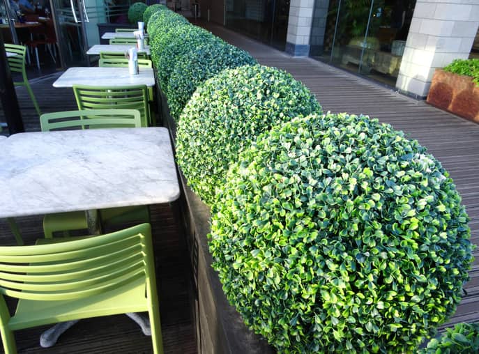 a row of faux plants in the office eating area