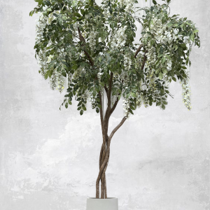 White wisteria tree in a decorative planter. Inventory item for rent at Greenscape Design and Decor