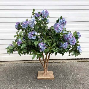 Hydrangea Bush