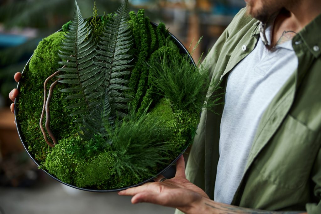 How to Care for Preserved Moss Walls Greenscape Design & Decor