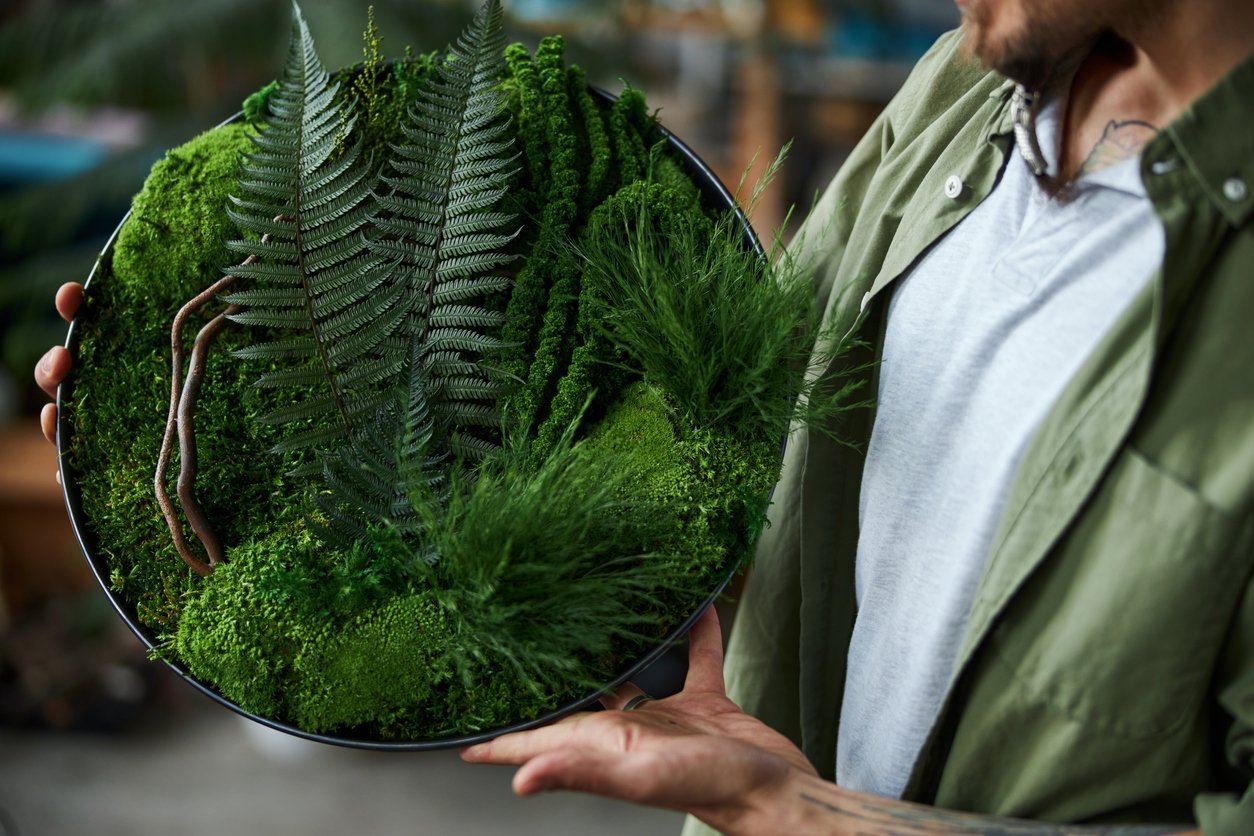 How to Care for Preserved Moss Walls Greenscape Design & Decor