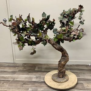Grapevine Tree