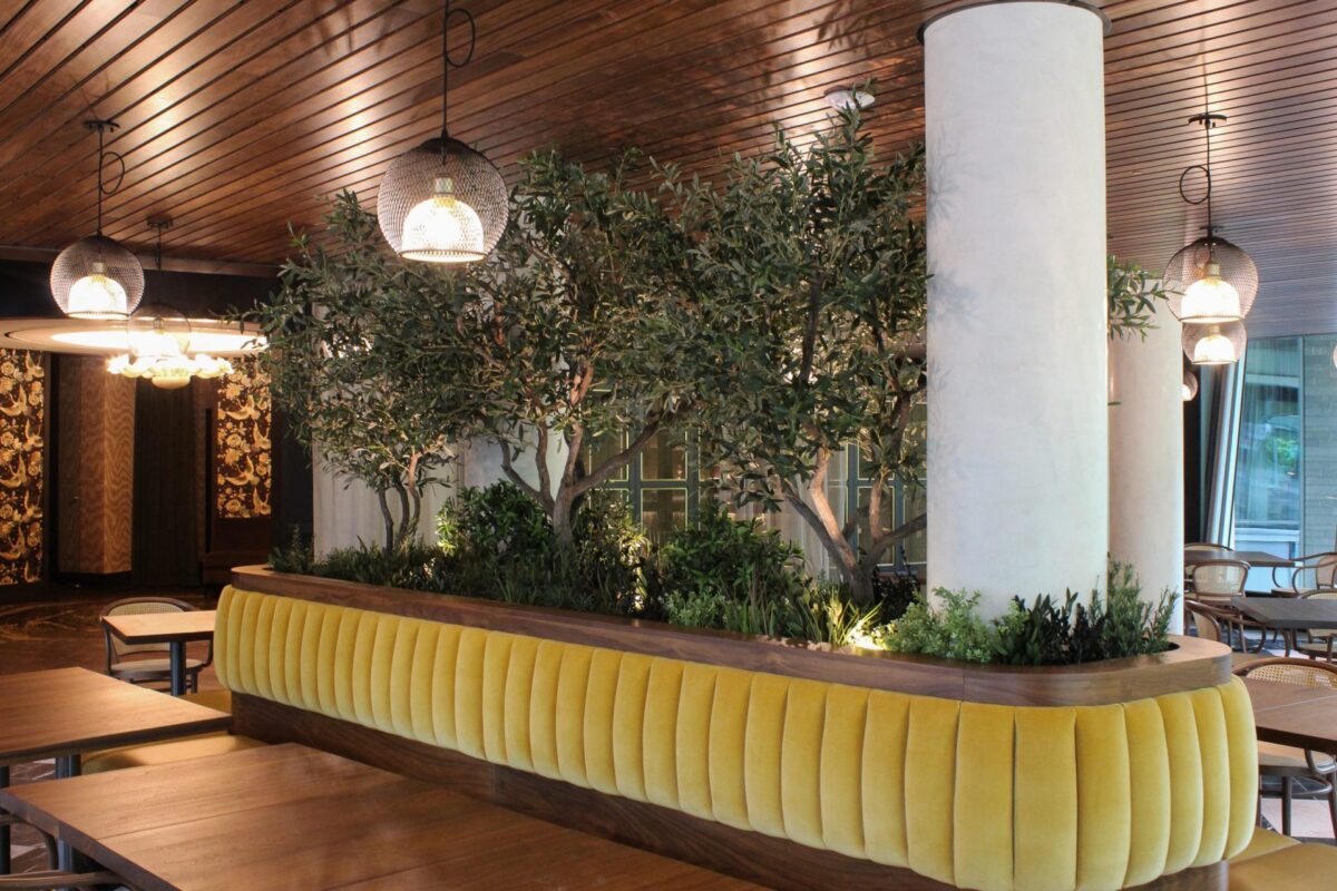 Artificial olive trees planted in a built-in banquette divider, separating a restaurant dining area.