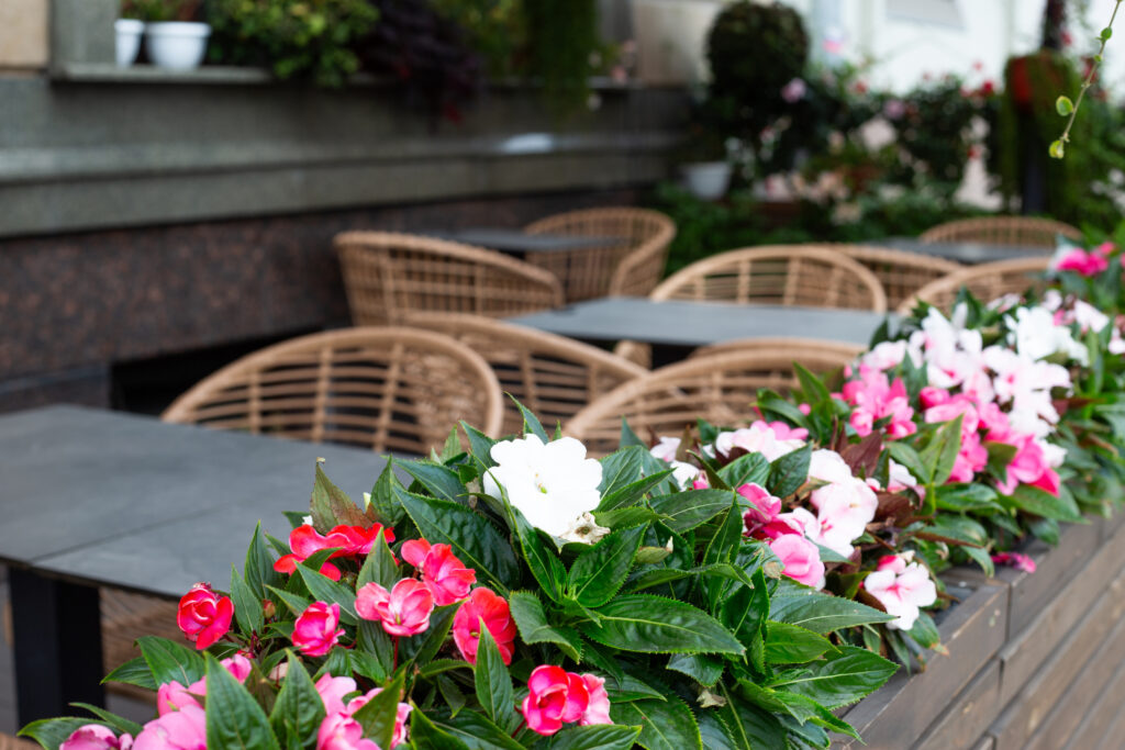 Veranda of cozy cafe with wicker furniture and flowers in pots