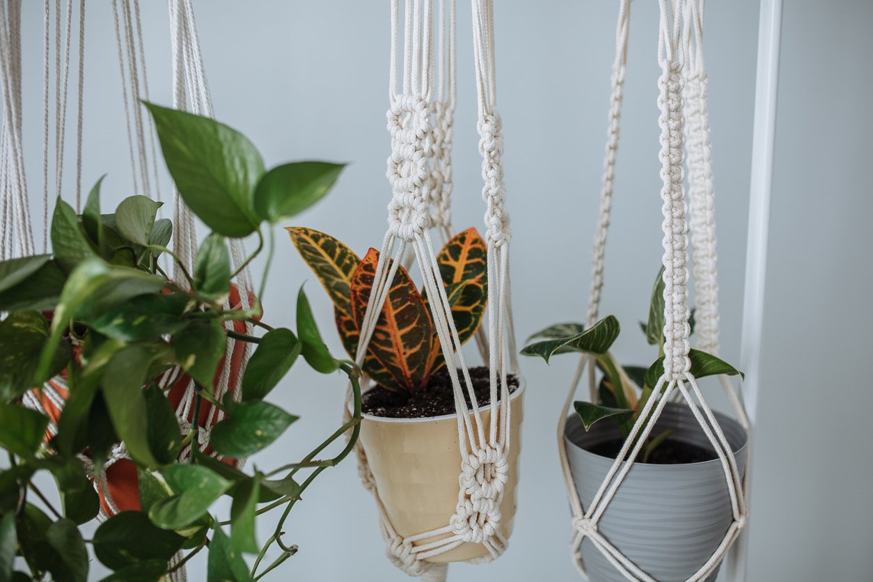 Macrame and plants