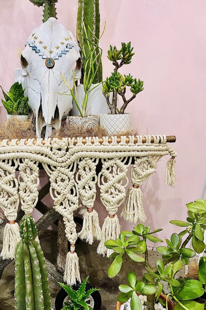 Southwestern-style arrangement of cacti and a macrame hanger
