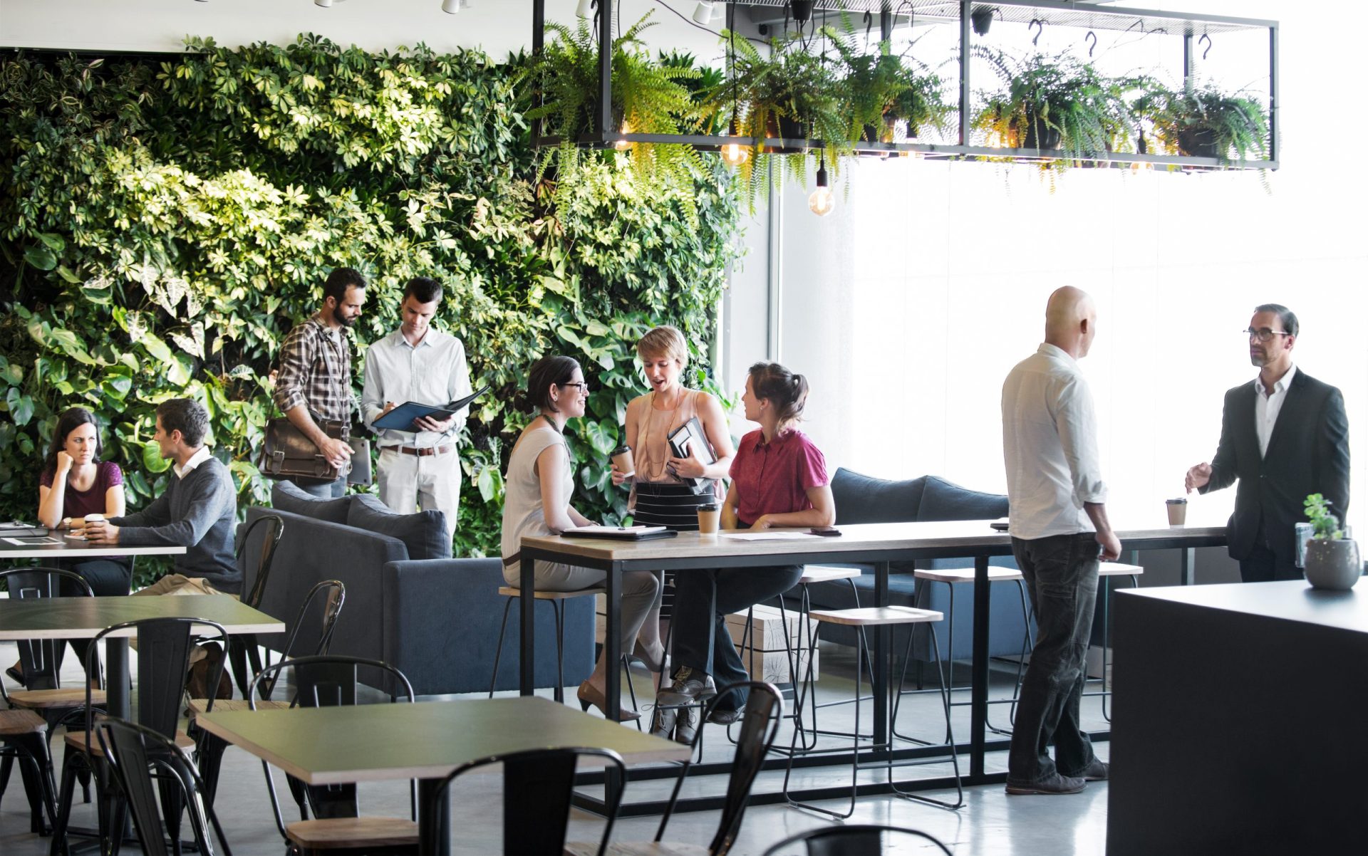 biophilic design in office