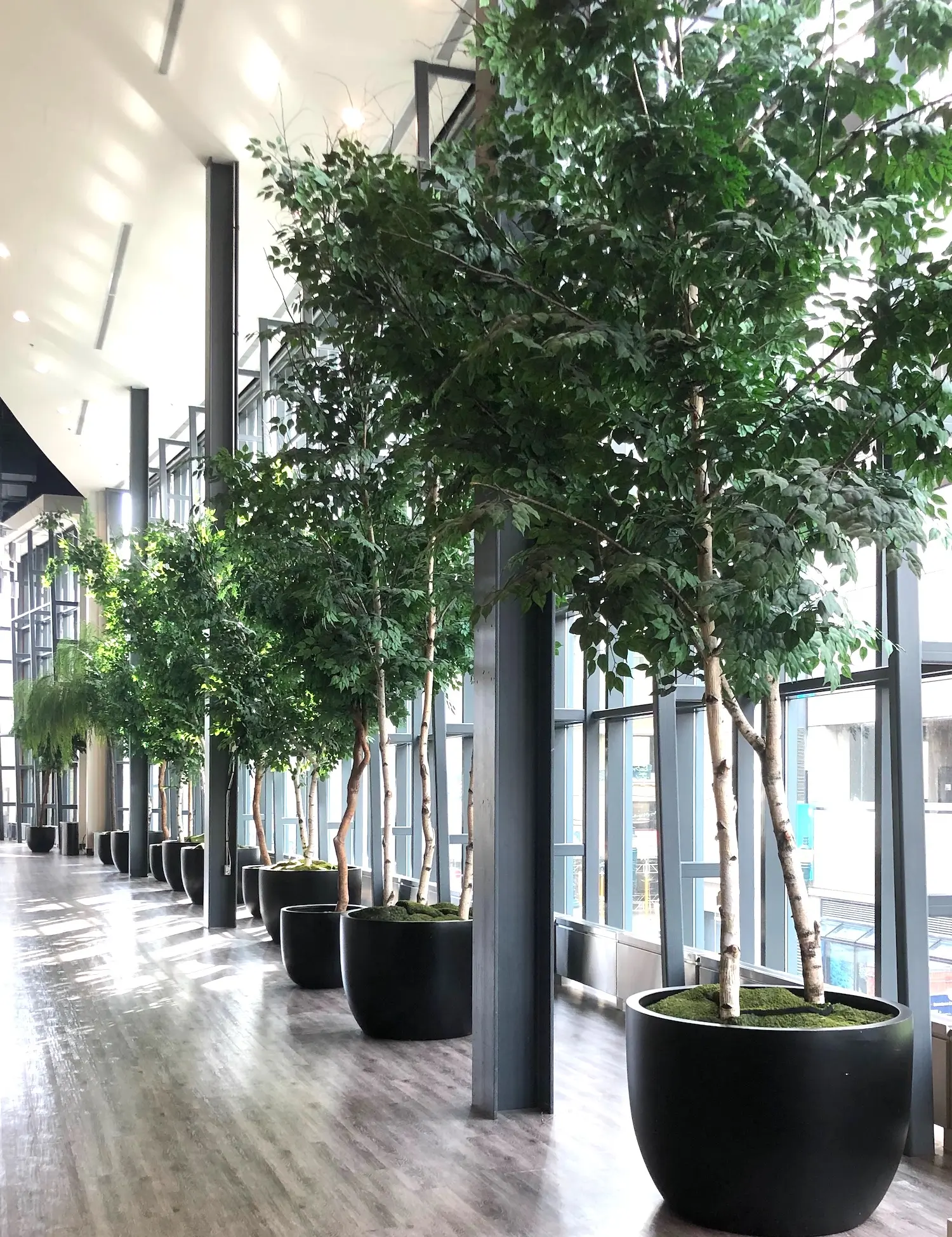 A variety of potted artificial trees in an openly lit commercial space