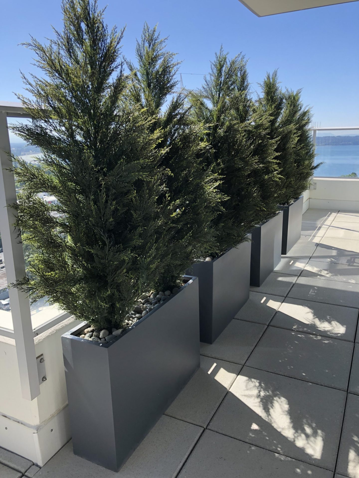 Outdoor artificial trees on a balcony overlooking the ocean