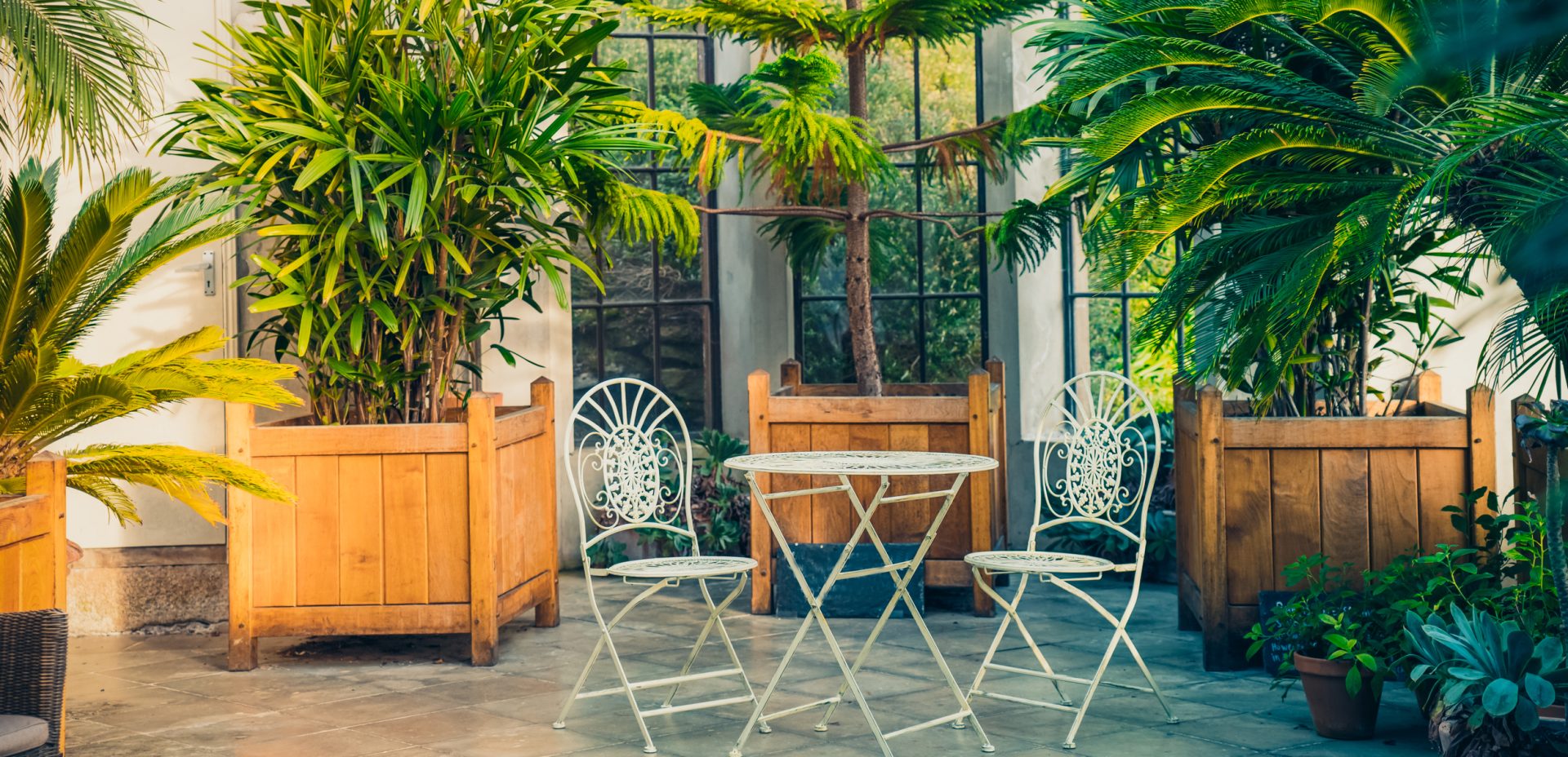 How to Design a Biophilic Home
