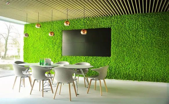 range of moss wall benefits