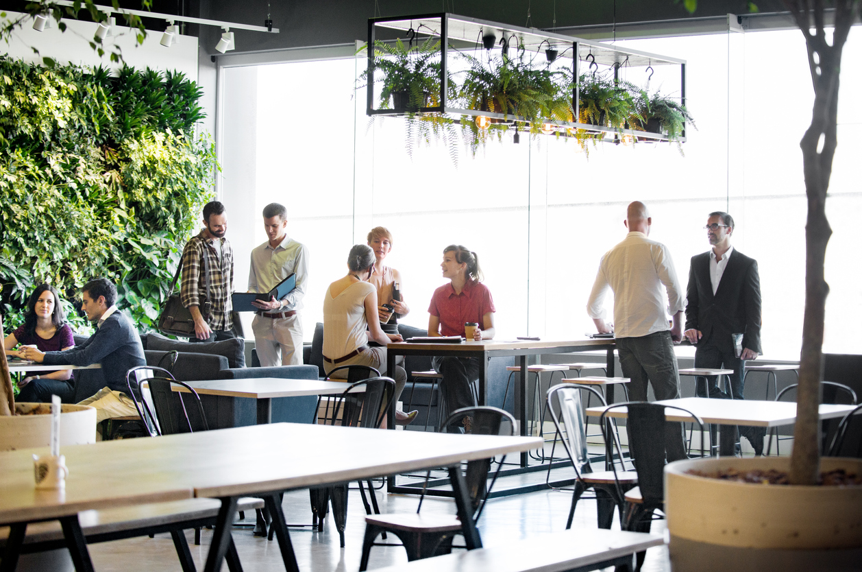 busy office with a vertical green garden wall