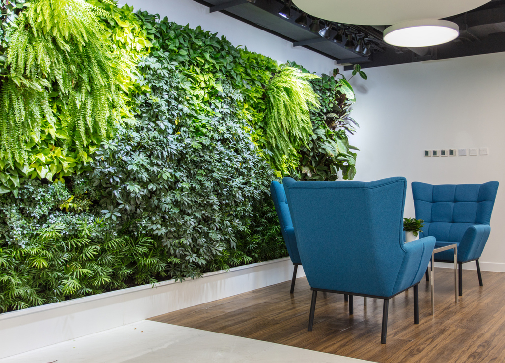 office with green plants