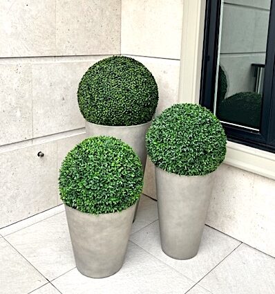 Residential front entrance patio with a trio of boxwood balls in concrete planters