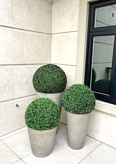 Residential front entrance patio with a trio of boxwood balls in concrete planters