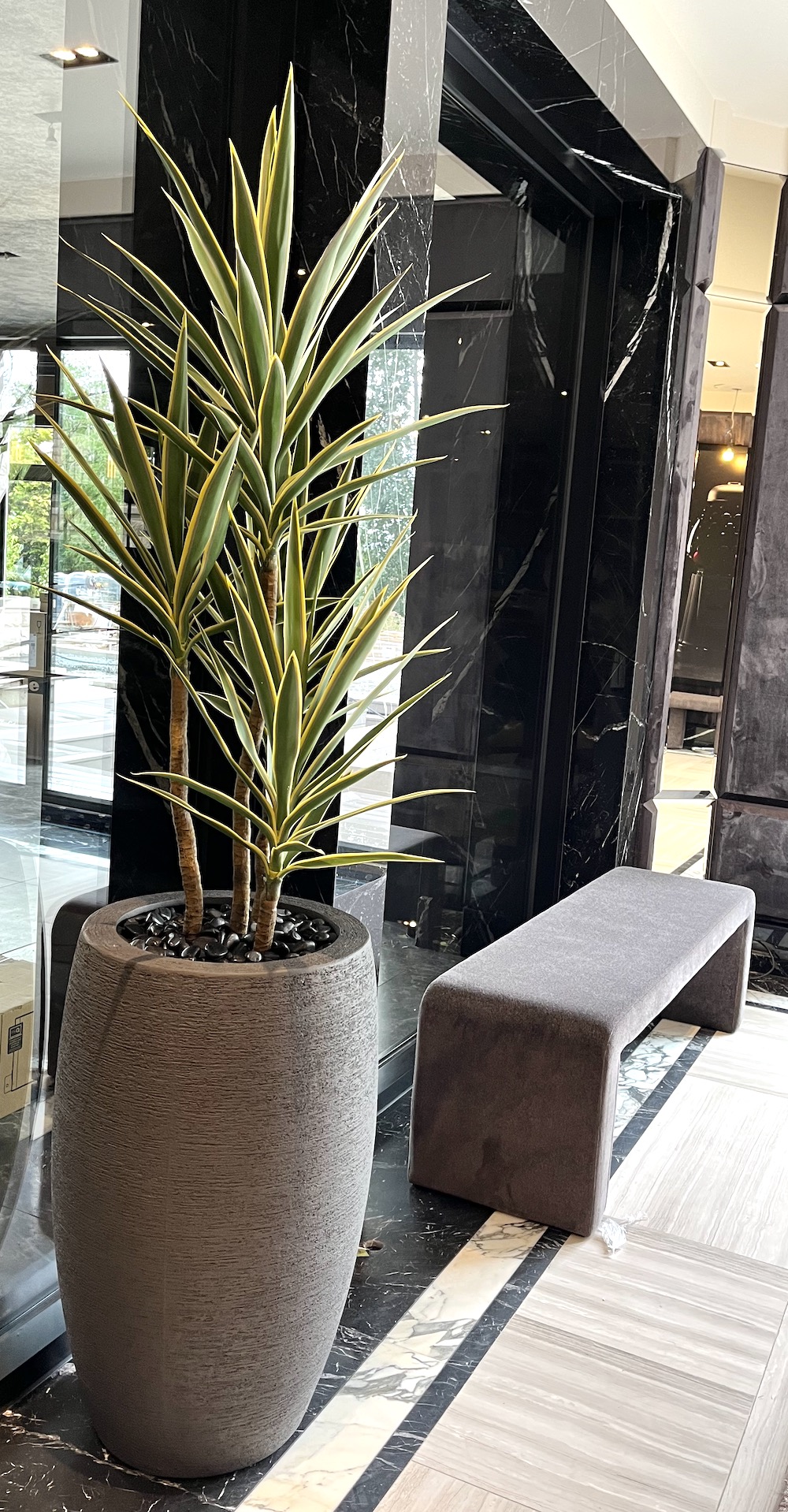 Artificial dracaena plant in a concrete planter next to a bench and glass wall