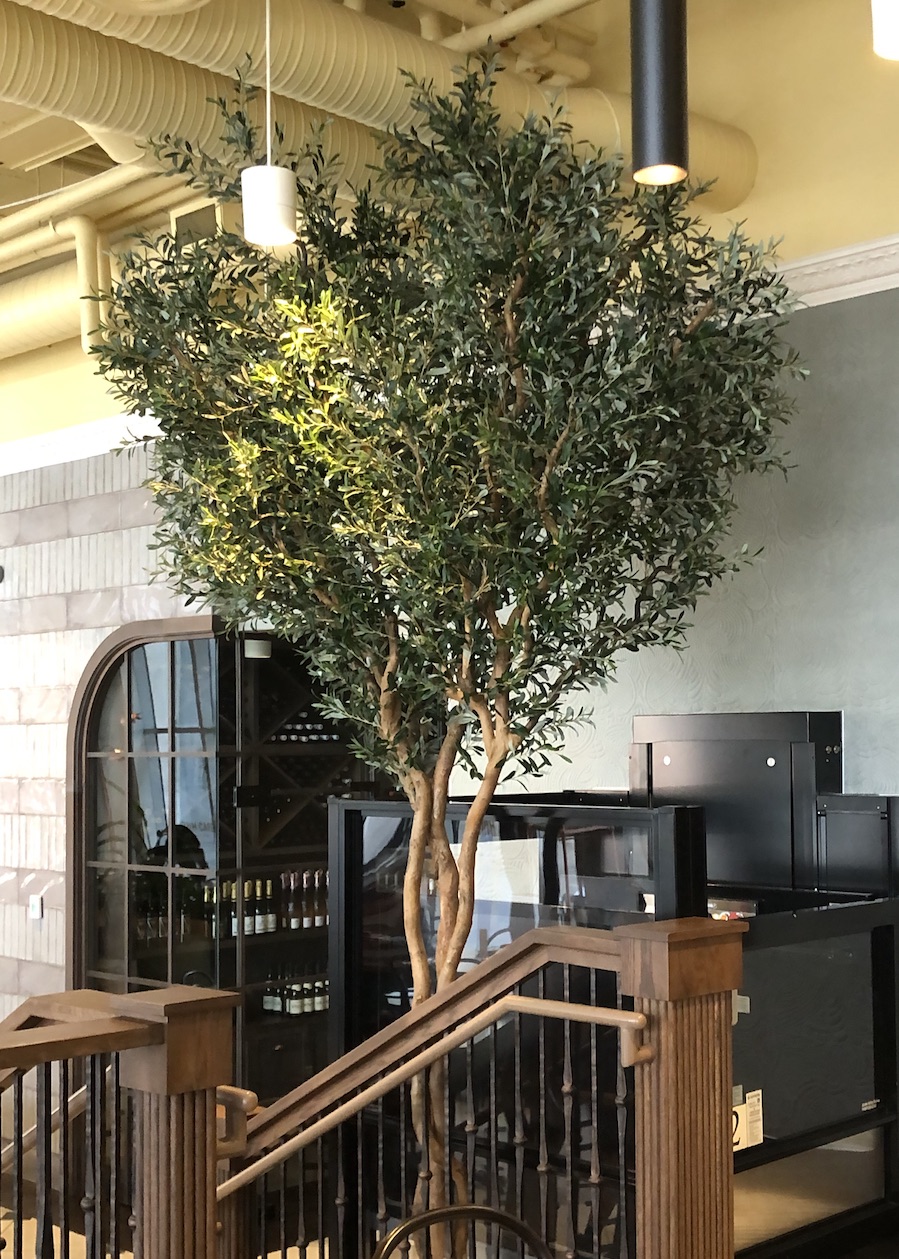 Artificial olive tree by Greenscape Design adds elegance to Linh Cafe in Vancouver.