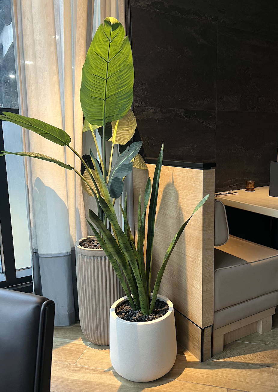 Artificial potted plants in a Vancouver restaurant interior design, positioned next to a window.