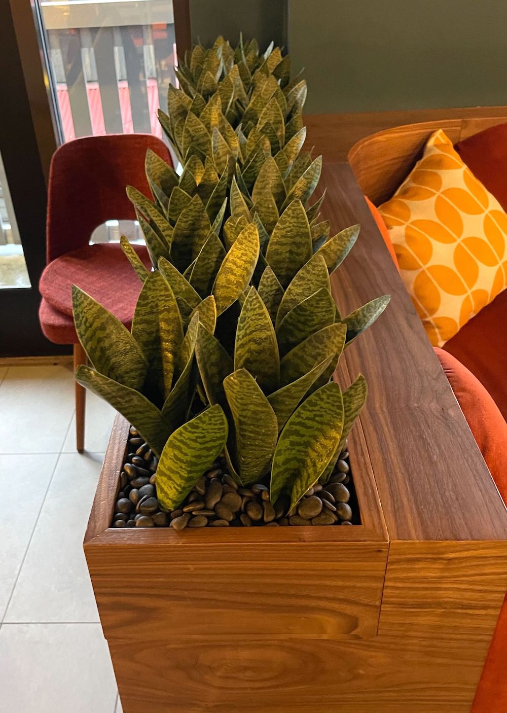 Artificial Sansevieria planters by Greenscape Design enhance the interior design of Rockit Coffee in Whistler.