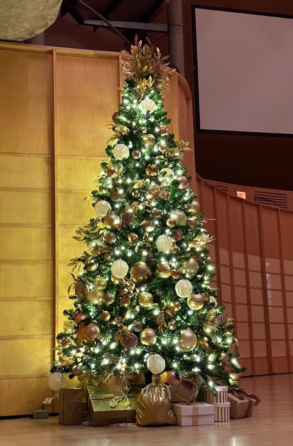 Greenscape Design transforms Chan Centre with stunning metallic and white Christmas tree decor, creating a festive atmosphere.