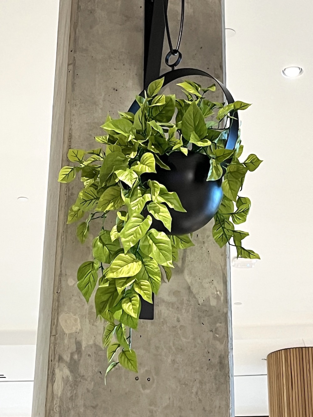 Artificial pothos hanging planters by Greenscape Design at Coquitlam Centre food court.