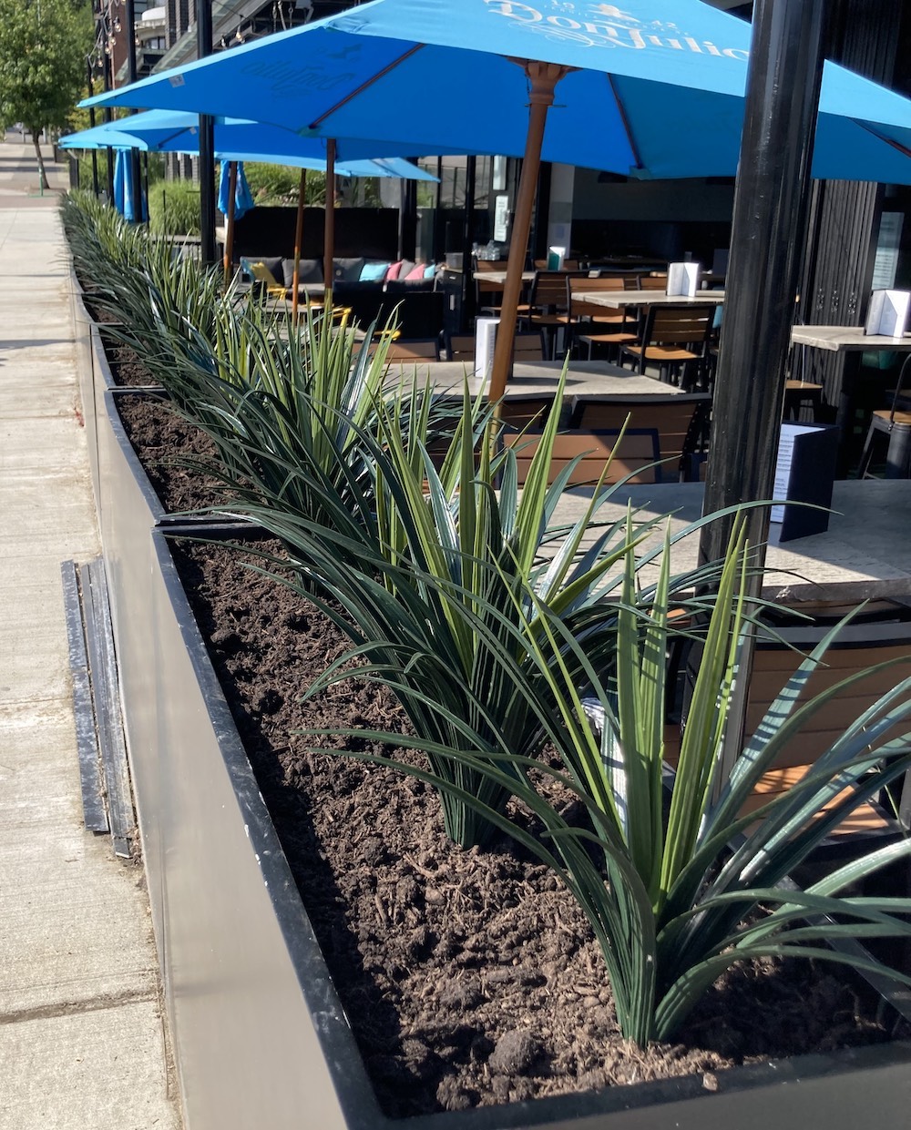 Exterior UV inherent Liriope plants, artificial plants on a Vancouver restaurant outdoor patio.