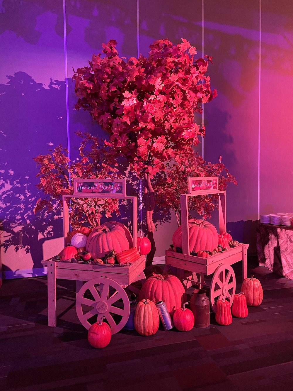 Fall Harvest Tree Display by Greenscape Design featuring maple trees, pumpkins, gourds, and assorted harvest baskets.