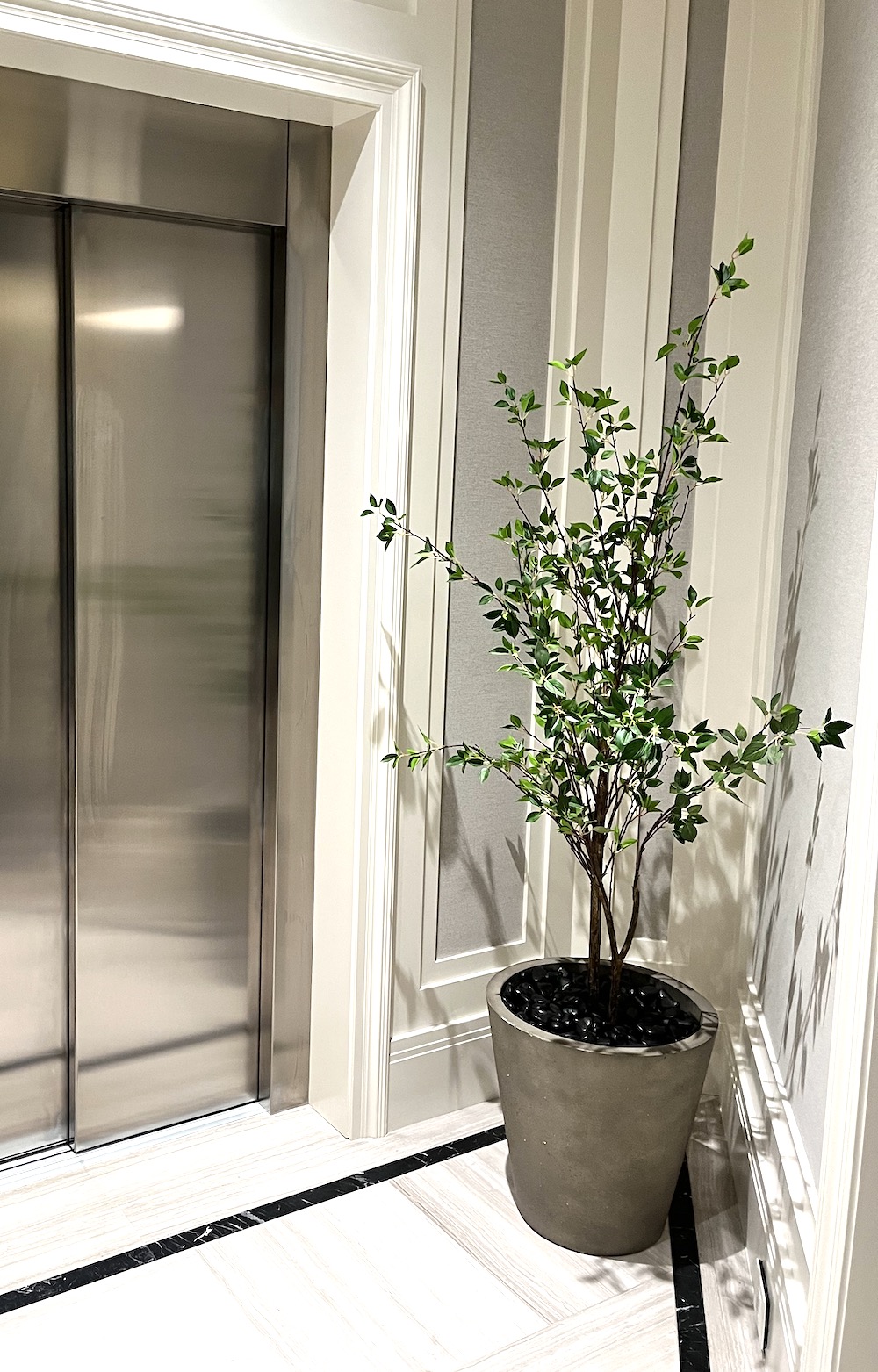6ft tall artificial ficus bush in a decorative planter in a corner by an elevator